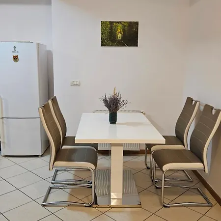 Apartament Ring * Timisoara